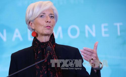 Giám đốc IMF: Kinh tế thế giới 2016 sẽ "khá thất vọng" ảnh 1